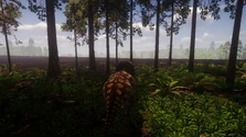 A mature male Triceratops in its environment