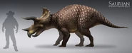 Old subadult