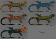 Chamops designs.jpg (151 KB) Old design graph for Chamops