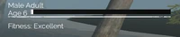 Fitness indicator