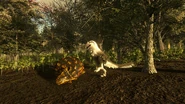 Adult Dakotaraptor close to a dead Ankylosaurus