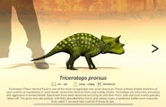 Hatchling Triceratops as it appears in the game's encyclopedia