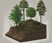 Representation of the bluffs, as it appears in .