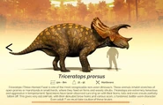 Adult Triceratops as it appears in the game's encyclopedia