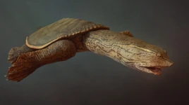 Week-20-Chris-L-Axestemys-1024x574