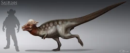 Adult P. spinifer (Future)