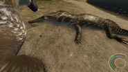 Young Dakotaraptor inspecting a Champsosaurus carcass