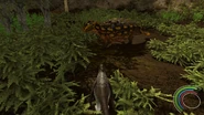 Young Dakotaraptor looking at an Ankylosaurus