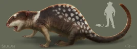 Rjpalmer meniscoessus 002 (1)