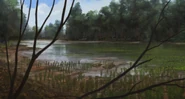 Concept art of Axestemys basking on a flooded shore