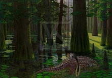 Concept art of 's cypress swamp, with a subadult  looking to a  sitting on a  back.