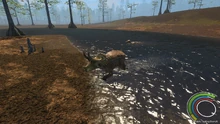 Juvenile Triceratops and a Pachycephalosaurus swimming
