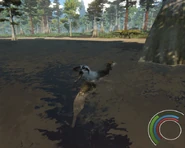 Adult Dakotaraptor trying to eat a dead Champsosaurus in the water