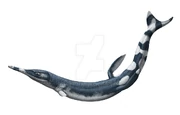 Cricosaurus by olorotitan-d8htrwb