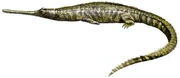 Teleosaurus
