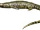 Teleosaurus