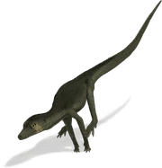Terrestrisuchus