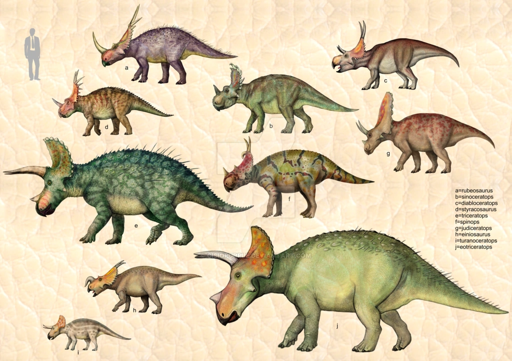 Ceratopsia Sauropedia Wiki Fandom