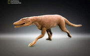 Junggarsuchus