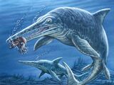 Ichthyosaurus