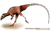 Hexinlusaurus bb71