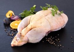 Canard-effile.jpg