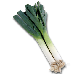 Poireaux ombre.png