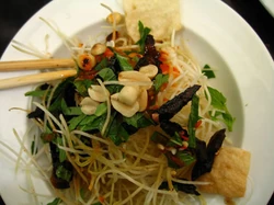 Salade De Boeuf A La Papaye Verte Wikia Saveurs Du Monde Fandom