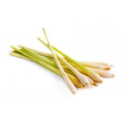 Citronnelle-moulut-100g-espig.jpg