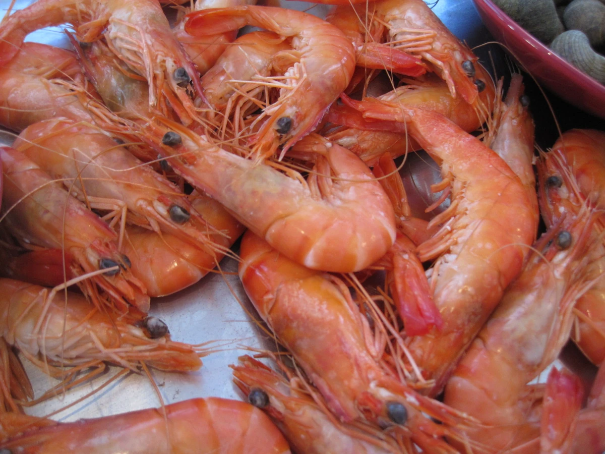 Crevettes Wikia Saveurs du monde Fandom