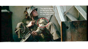 Toynbe 2.png