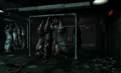 The pig carts