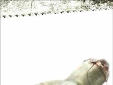 Saw
