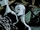 Mannequins/Rebirth