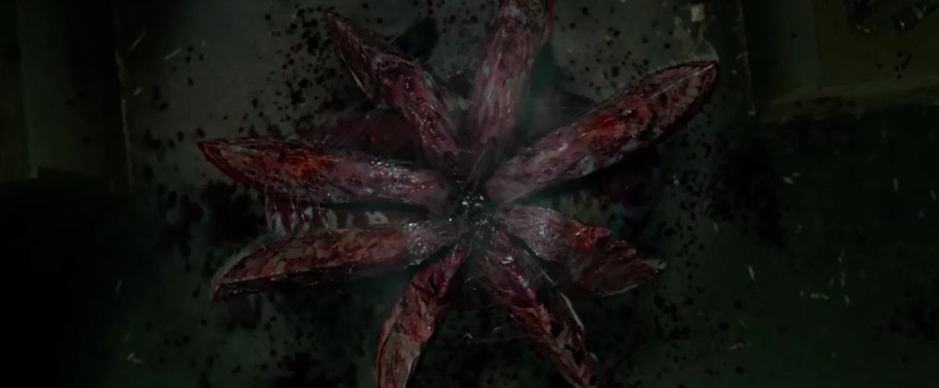 Großzügigkeit Sich unterhalten Es tut mir Leid laser collar Eindruck