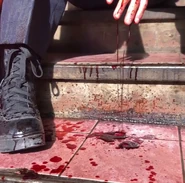 Spiral Barrett Wounded.jpg (183 KB)