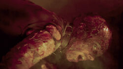 Joyce is roasted alive