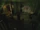 Nerve Gas House