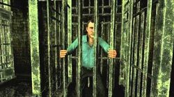 Solomon in his cage