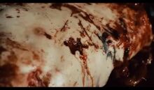 Jigsaw piece cut from the body of Seth Baxter