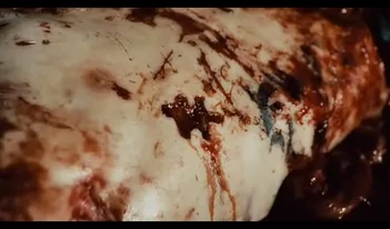 Jigsaw piece cut from the body of Seth Baxter