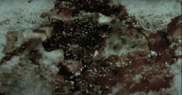 The puzzle piece cut from Mark's body