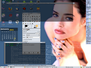 Sawfish with KDE and Denise Richards.