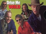 Drive Me Wild (song)