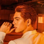 Stell - MP Profile
