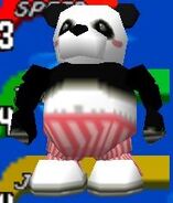 Mr. Panda