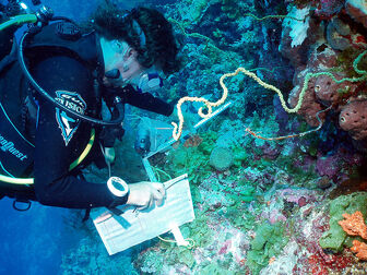 Sampling work in the Chagos