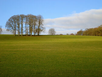 Walking the Chiltern Hills by Pishill, Oxfordshire