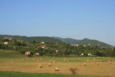 800px-Fields-of-Borgotaro