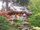 SF Japanese garden11.JPG